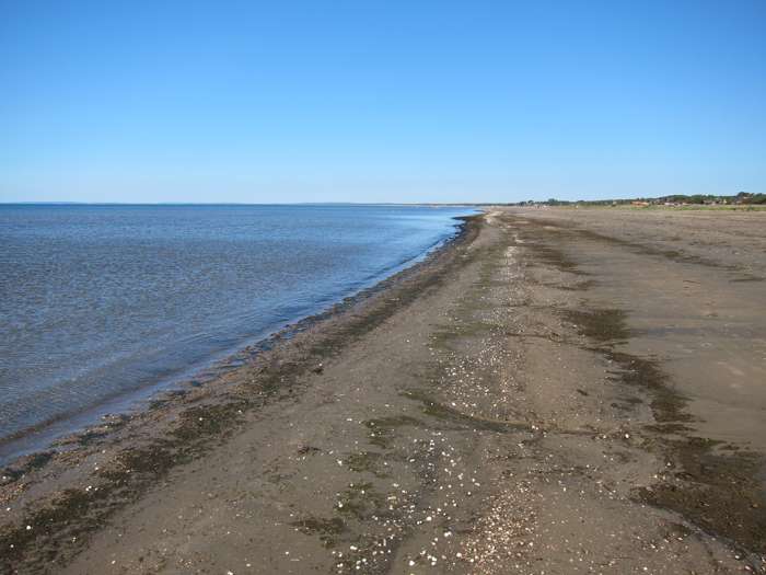 Kärstin Malmberg Persson/SGU - Skummeslövsstrand