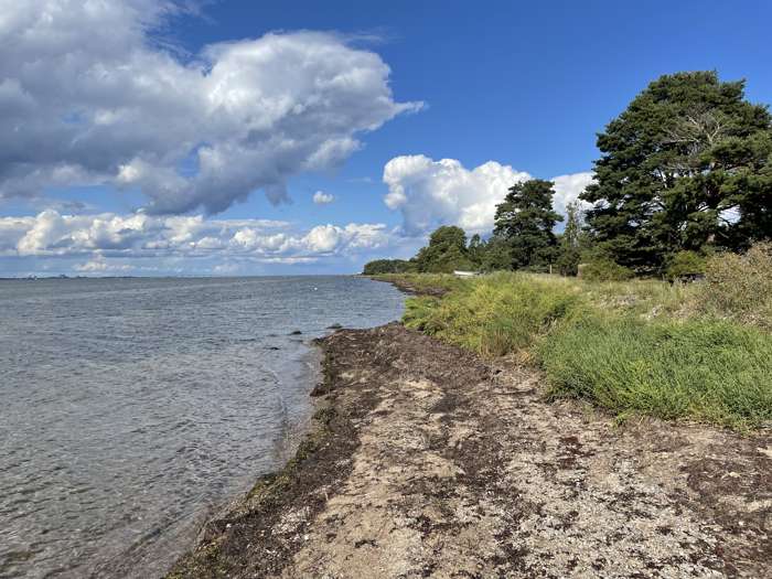 Jonas Ising/SGU - Stora Frö