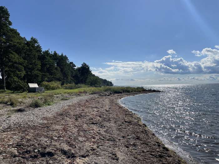 Jonas Ising/SGU - Stora Frö