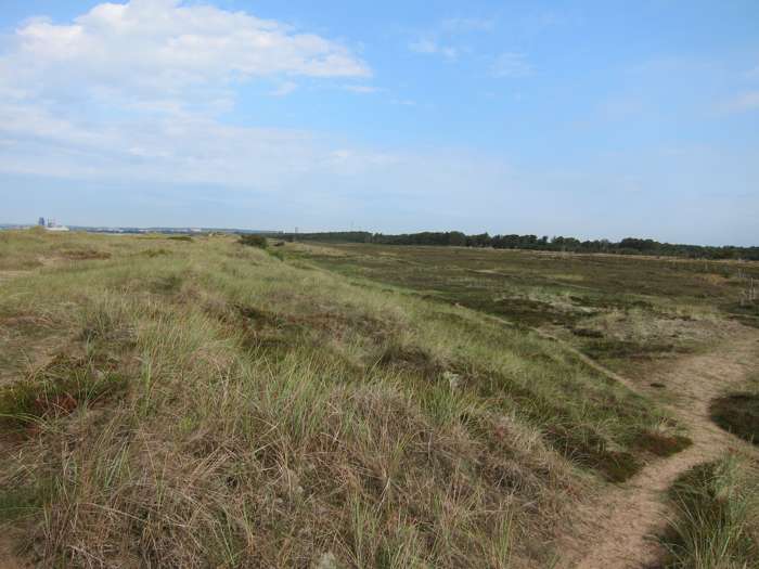 Elisabeth Magnusson/SGU - Östra stranden