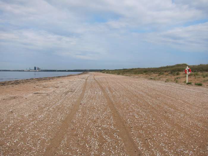 Elisabeth Magnusson/SGU - Östra stranden