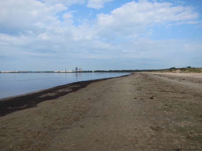 Kärstin Malmberg Persson/SGU - Östra stranden