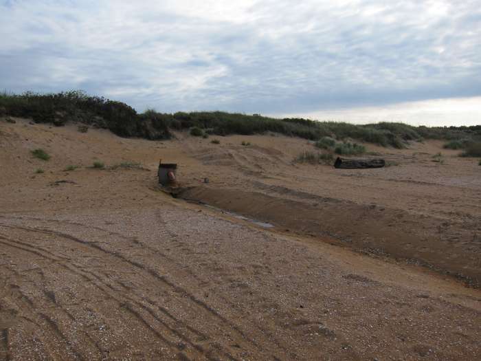 Kärstin Malmberg Persson/SGU - Östra stranden