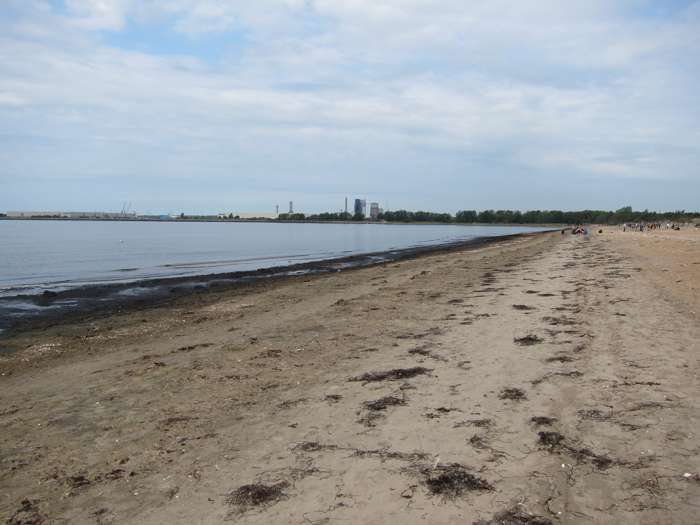 Kärstin Malmberg Persson/SGU - Östra stranden