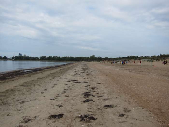 Kärstin Malmberg Persson/SGU - Östra stranden