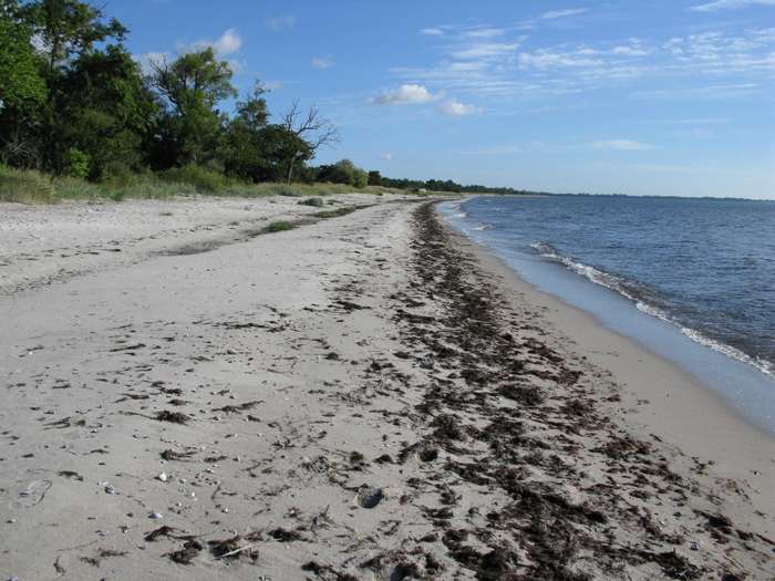 Magnus Persson/SGU - Beddingestrand