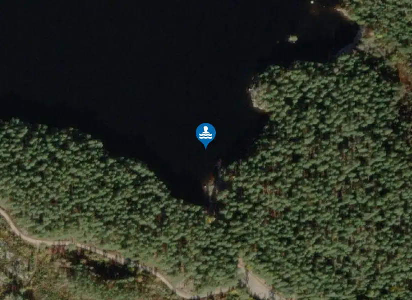 Lilla Älgsjön från satellit
