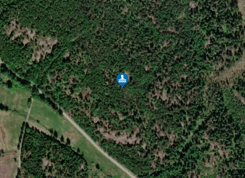 Lillesjön från satellit