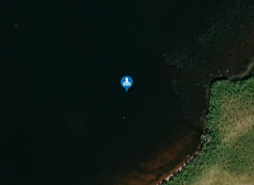 Linsellsjön från satellit