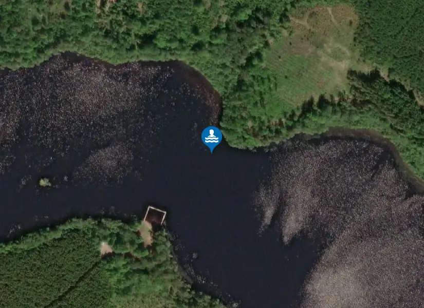 Ljungsjön från satellit