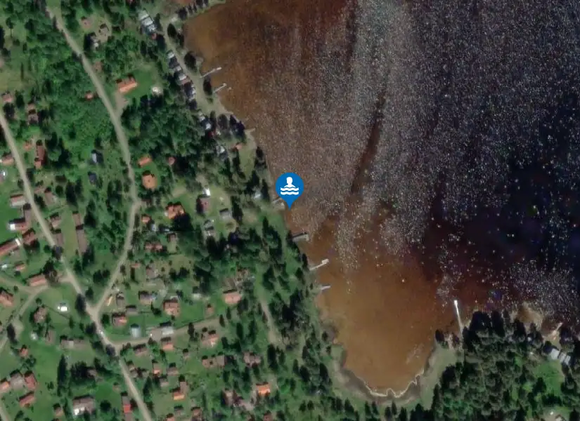 Lundbjörken från satellit