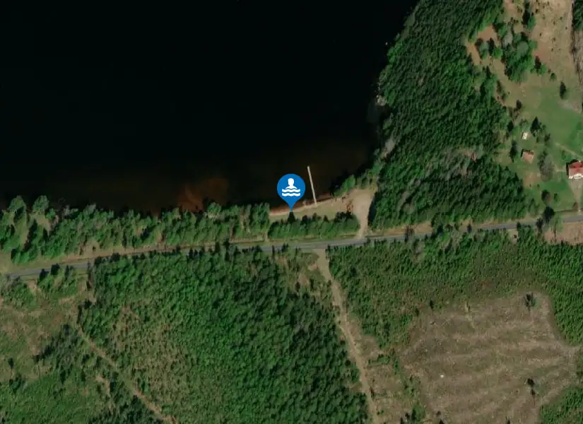 Madkroken, Sandskog från satellit