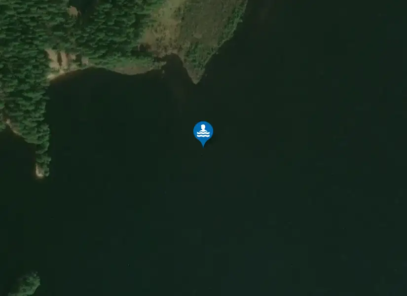 Malingsbo från satellit