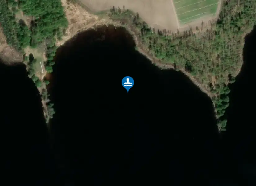 Björken från satellit