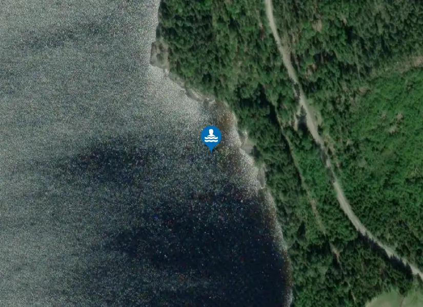 Blomma, Lelång från satellit
