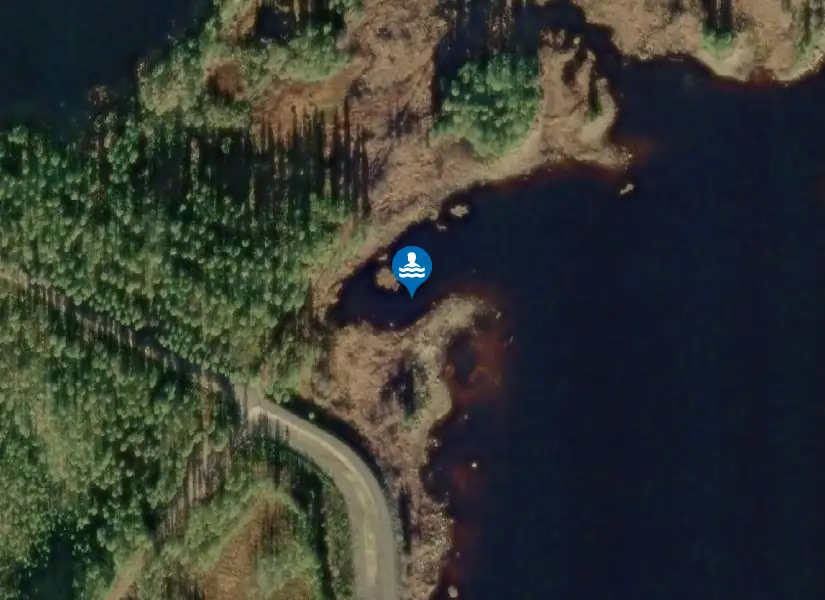 Bograngstjärn från satellit