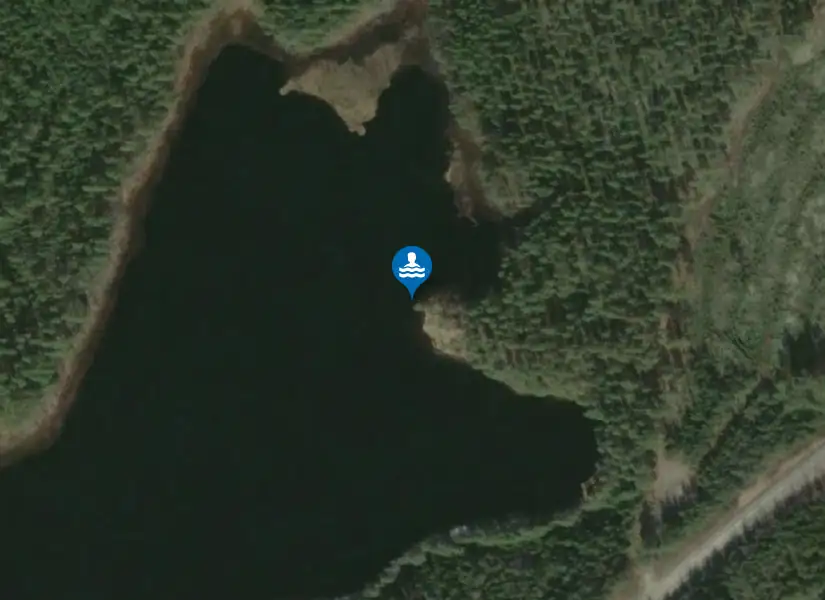 Stora Tjärn från satellit