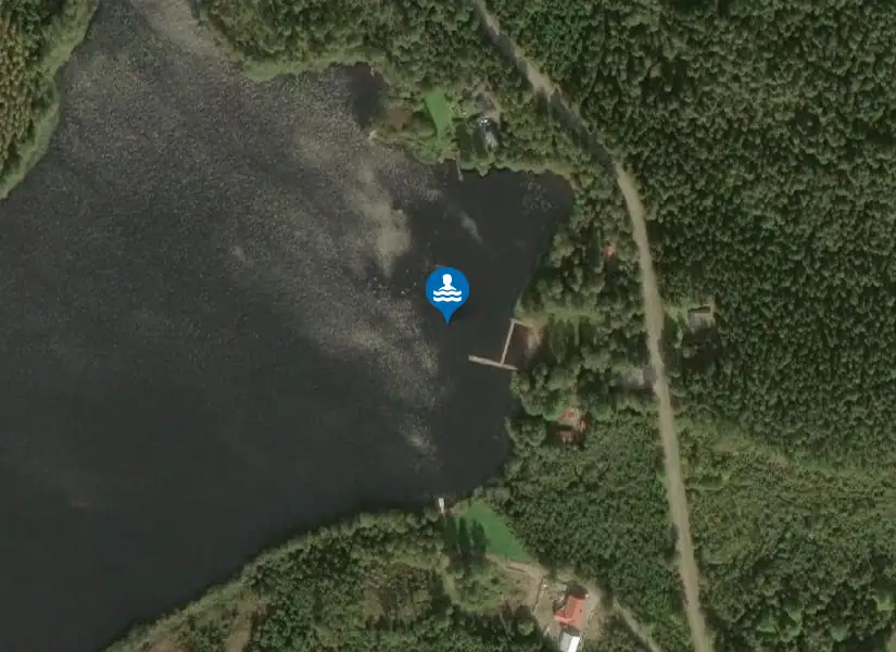 Borlången från satellit
