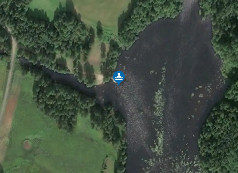 Svartlå från satellit