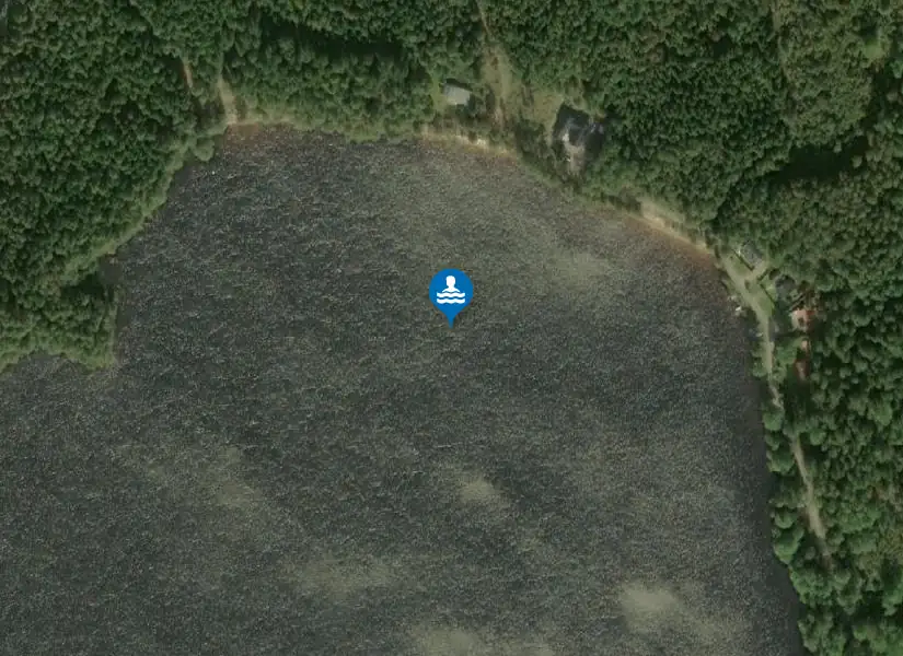 Sävsjön från satellit
