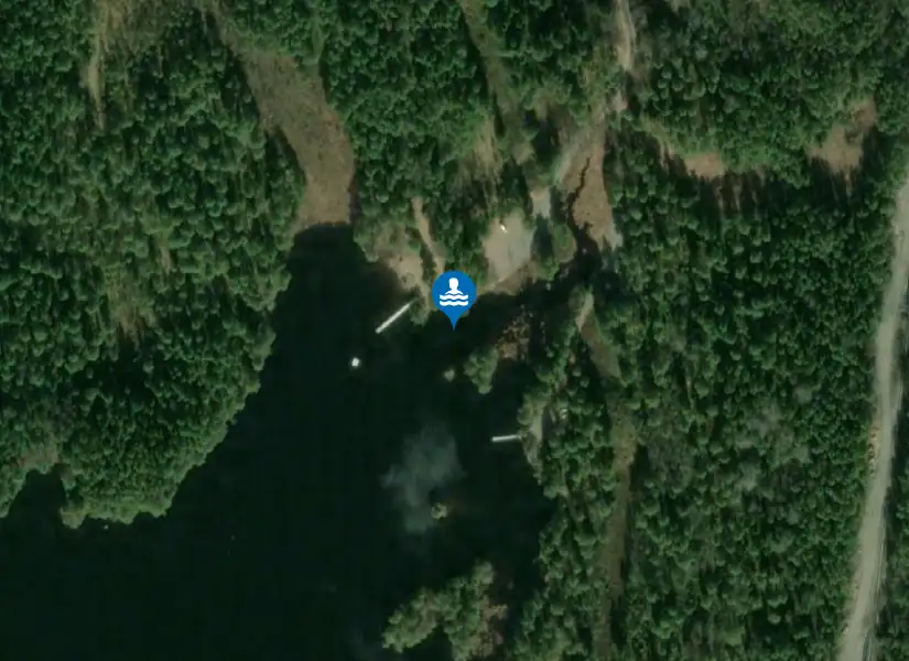 Viksjön från satellit