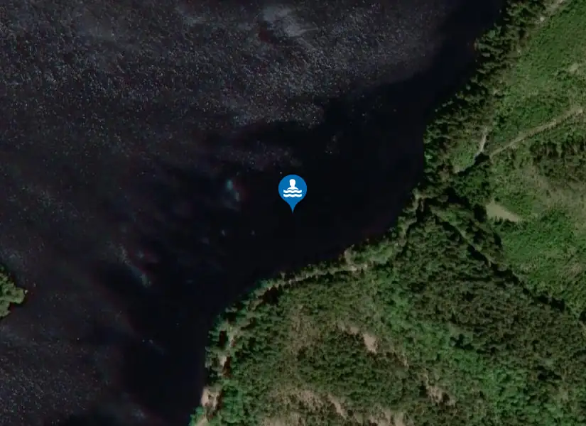 Vännesjö från satellit