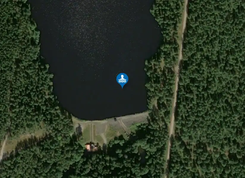 Fågelforsdammen från satellit