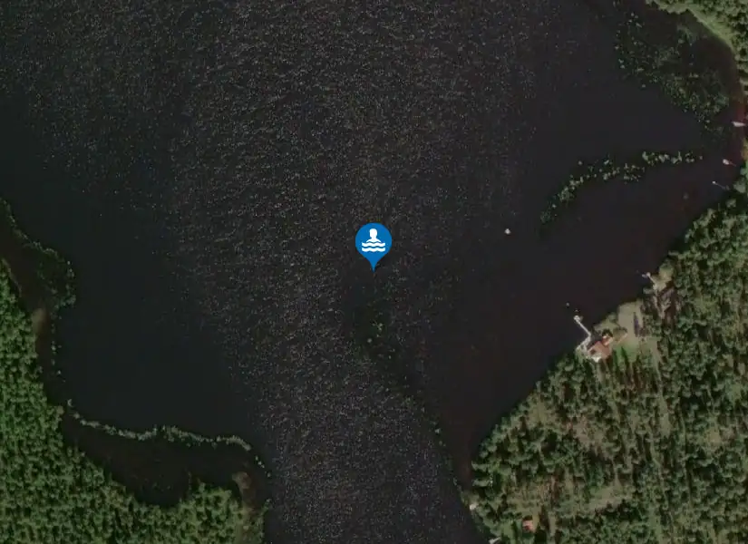 Skogshyltasjön från satellit