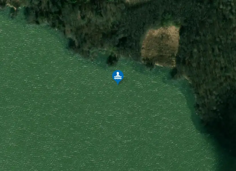 Eklången från satellit