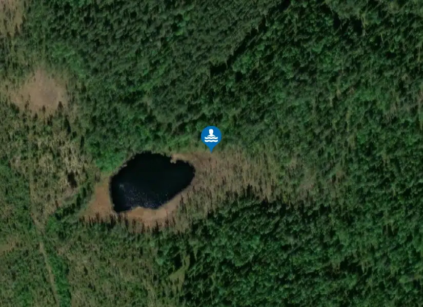 Svedjan från satellit