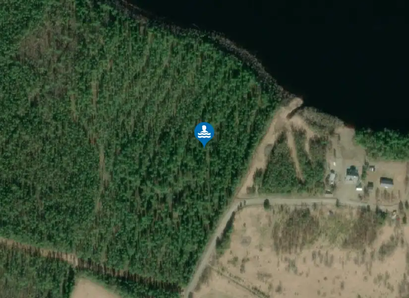 Muskus från satellit