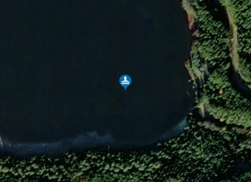 Mesjöns badplats från satellit