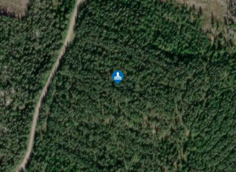 Forsaån från satellit