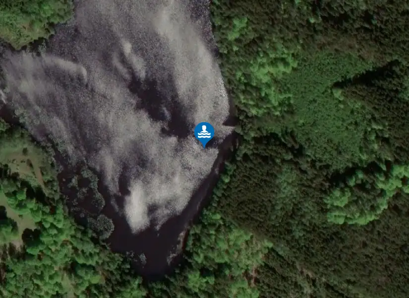 Dalsjön från satellit