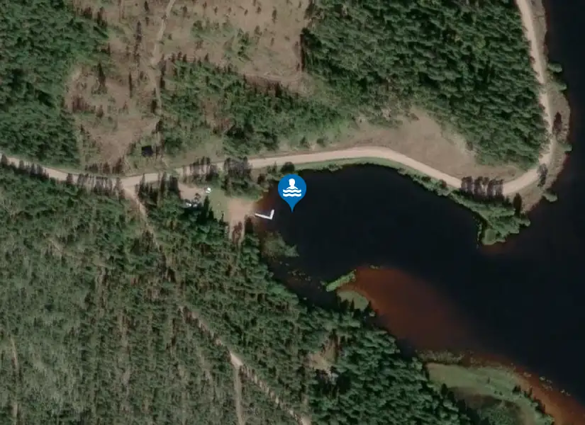 Djurvik från satellit