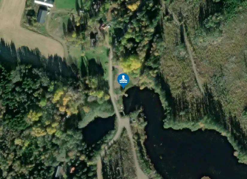 Kungsskogen från satellit