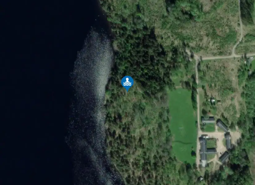 Fröskog från satellit