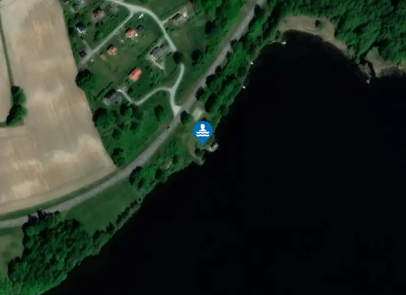 Ärr - Fröskog från satellit