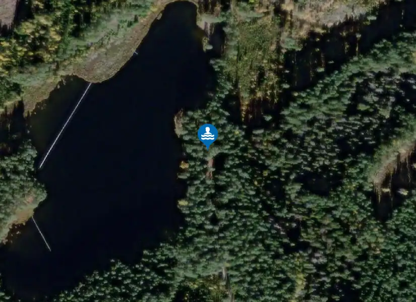 Ljustjärn, Riddarhyttan från satellit