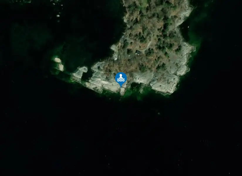 Kofsa från satellit