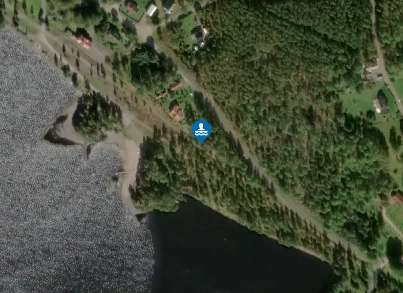 Alstern från satellit