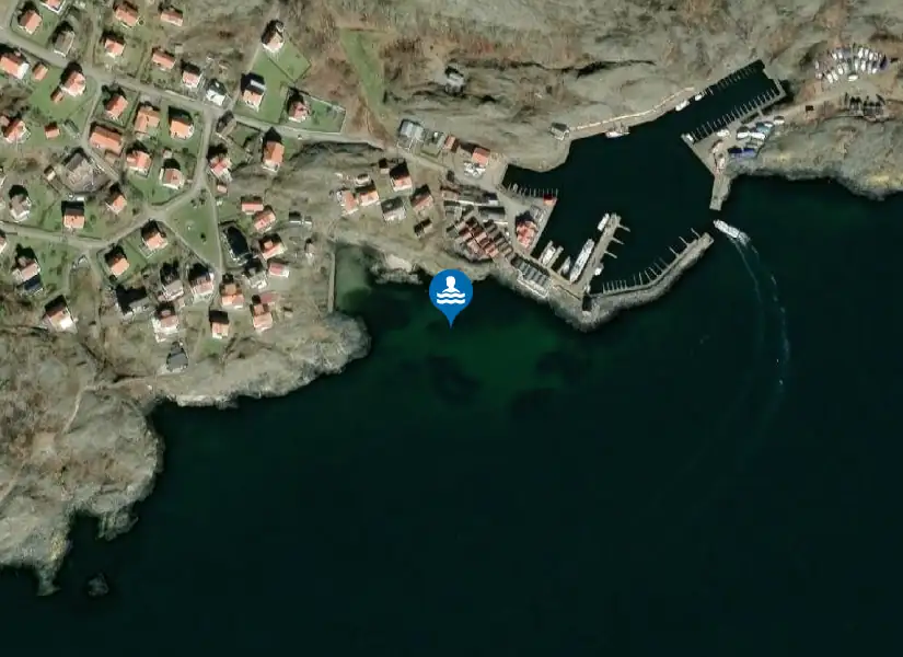 Dyrön, Södra från satellit