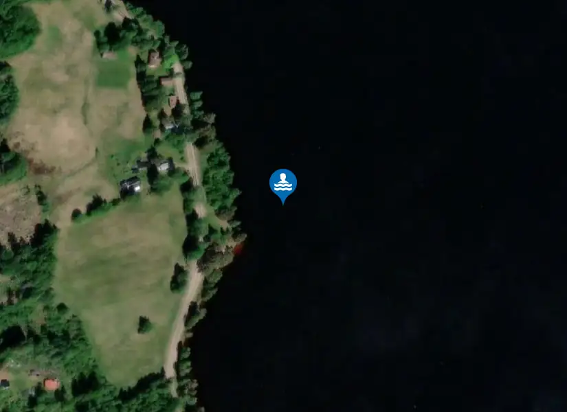 Gänsen från satellit