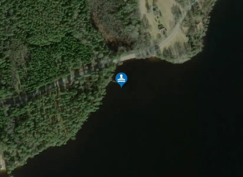 Assjön från satellit